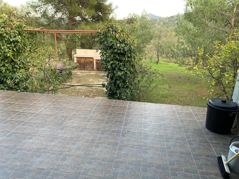 Mountain View! Cosy Life Nicosia